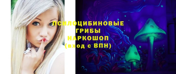 ешки Арсеньев