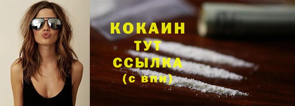 ешки Арсеньев
