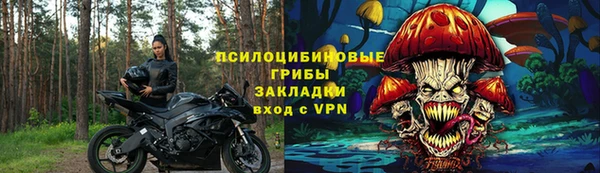 ешки Арсеньев