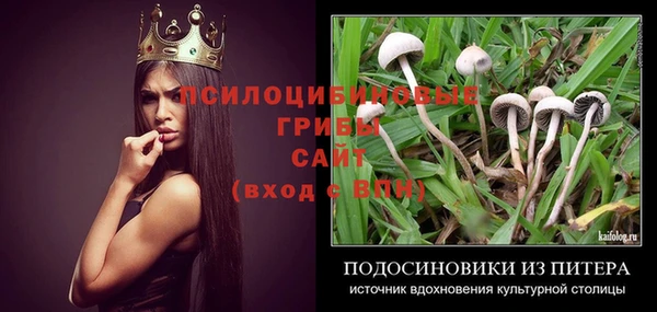 ешки Арсеньев