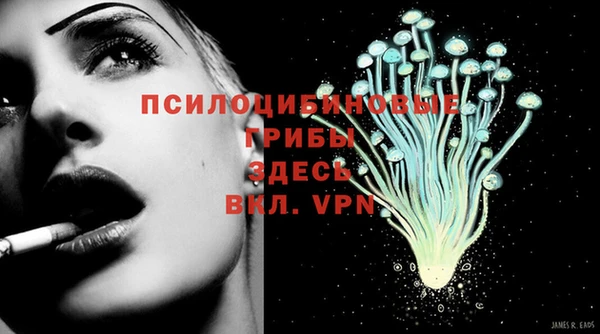 ешки Арсеньев
