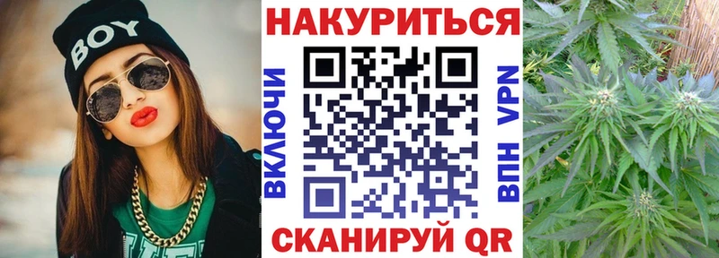 МАРИХУАНА Amnesia  Купить где  Облучье 